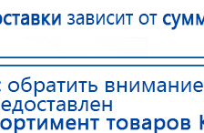 СКЭНАР-1-НТ (исполнение 01 VO) Скэнар Мастер купить в Сочи, Аппараты Скэнар купить в Сочи, Дэнас официальный сайт denasdoctor.ru